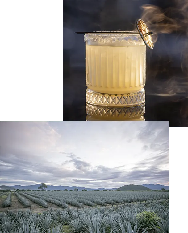 Tumba Fraile, Más Allá De Oaxaca