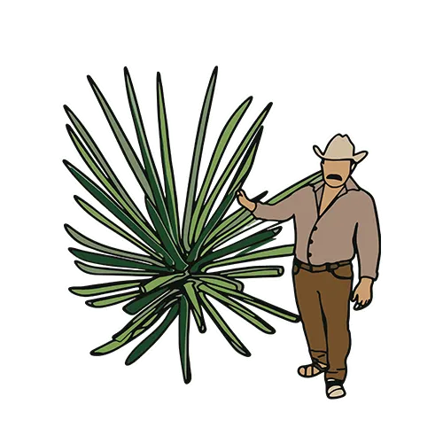 Tumba Fraile Mezcal